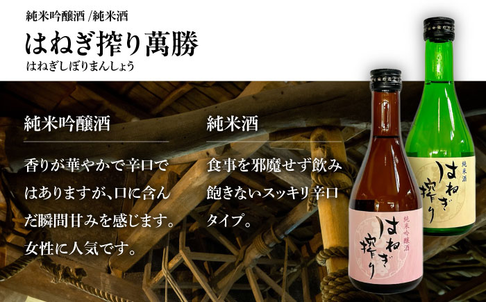 【夏限定！飲みくらべ(受賞酒入り)】5種 計1500ml(300ml×5本)「BANG純吟・BANG純米(受賞酒)・SUNFLOWER特純生貯・はねぎ純吟・はねぎ純米」/ 日本酒 にほんしゅ お酒 酒 飲み比べ / 南島原市 / 酒蔵吉田屋 [SAI037]