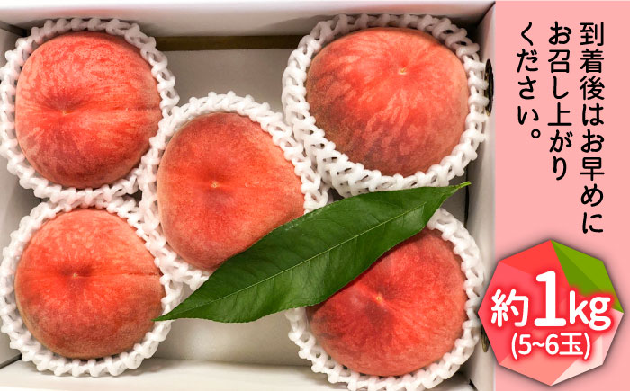 【2026年6月?発送】どちらが届くかはお楽しみ！温室桃 約1kg / 日川白鳳 or ももか / フルーツ 果物 / 南島原市 / 川田農園 [SAP002]