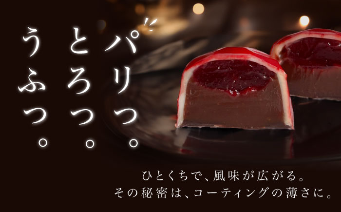 【2026年2月～発送】ボンボンショコラ 5個入り / チョコ チョコレート ちょこれーと お土産 お菓子 バレンタイン / 南島原市 / 本田屋かすてら本舗 [SAW031]