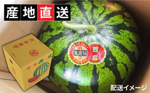 【2025年5月下旬～発送】【大玉】 スイカ 羅皇 (ラオウ) 1玉 / 果物 フルーツ らおう / 南島原市 / ふるさと企画 [SBA013]