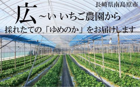 ゆめのか 1kg (250g×4P) / いちご 果物 フルーツ / 南島原市 / ふるさと企画 [SBA015]