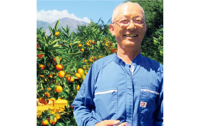 【訳あり・出荷時に一番旬なみかんをお届け！】みかん 5kg ( 南柑・青島など) / ミカン 蜜柑 果物 フルーツ / 南島原市 / ふるさと企画 [SBA017]