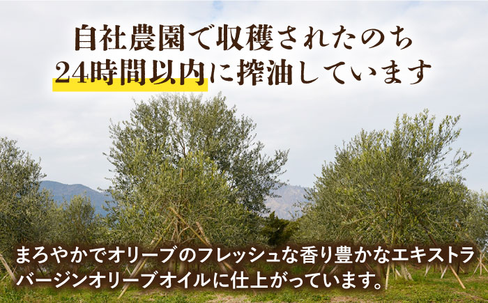 （3回定期便）【国産 手摘み 100% 】南島原産 オリーブオイル  S島原  / オリーブ オイル 油 あぶら 食用油 / 南島原市 / ふるさと企画 [SBA064]
