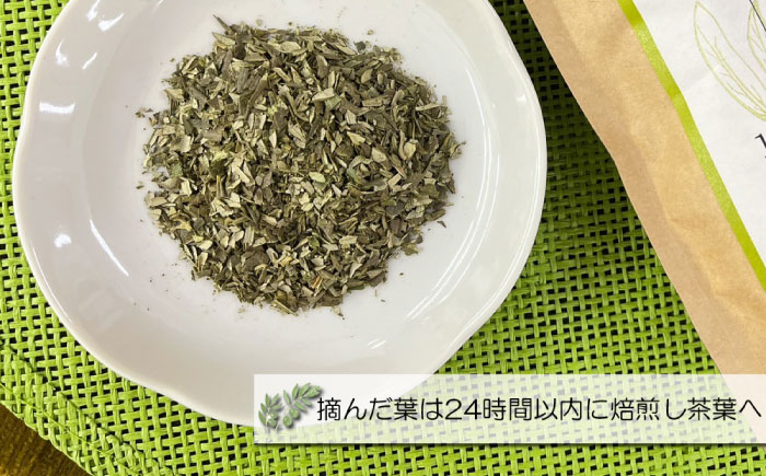 【国産 手摘み100%】南島原産 オリーブ茶 ティーバッグ×20袋（60ｇ） / お茶 茶 ティーパック / 南島原市 / ふるさと企画 [SBA095]