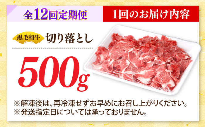 【12回定期便】国産 黒毛和牛 熟成肉 切り落とし 500g / 小分け 国産牛 お肉 牛肉 切落し 冷凍 焼肉 すき焼き / 南島原市 / ふるさと企画 [SBA099]