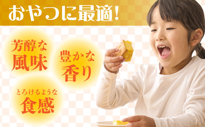 【ANA限定】訳あり カステラ 切り落とし 計2.5kg（250g×10パック） / かすてら 切り落としカステラ 長崎カステラ お菓子 スイーツ ギフト/ 南島原市 / ミカド観光センター [SBF012]