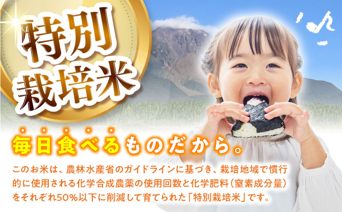 【令和7年産新米】【特別栽培米】 ヒノヒカリ 5kg / 米 精米 白米 ごはん ご飯 ひのひかり / 南島原市 / 農家民宿　いちご一会 [SBN001]