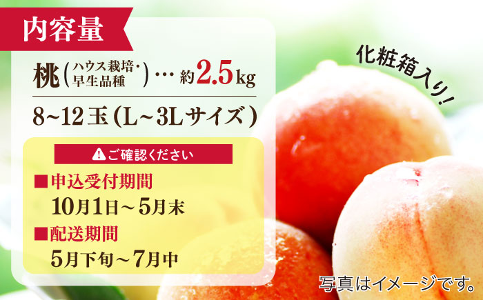 【2026年5月下旬～発送】特別栽培ハウスもも 約2.5kg 化粧箱入り  / フルーツ 果物 旬 / 南島原市 / ふくはちファーム / 福島農園 [SBS006]