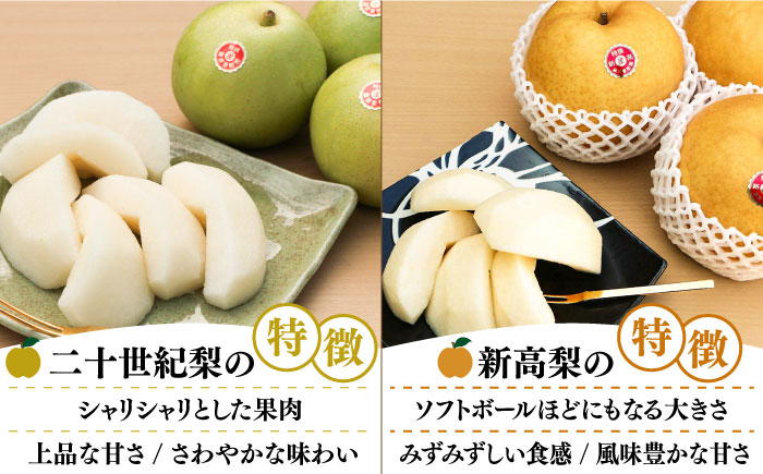 2025年7月～発送】【4回定期便！南島原の 梨 を 食べ比べ ！】幸水