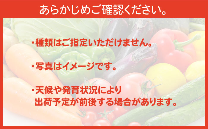 【12回定期便】直売所より発送！季節の野菜セット 7～10品目 / 野菜定期便 野菜 やさい 旬 詰め合わせ / 南島原市 / ながさき南部生産組合 [SBW005]