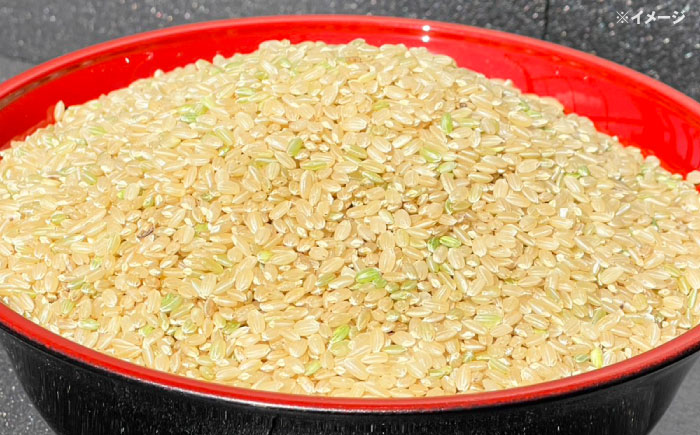 【数量限定】ひのひかり 玄米 30kg 1袋 / 米 こめ コメ げんまい / 南島原市 / ながさき南部生産組合 [SBW027]