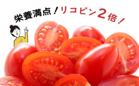 【2026年1月～発送】完熟 アイコトマト 約3kg / 南島原市 / 長崎県農産品流通合同会社 [SCB052]