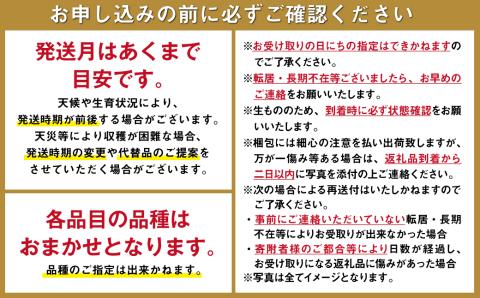 【6回定期便 Bコース】フルーツ定期便 旬のフルーツセット / フルーツ 詰め合わせ 春フルーツ 夏フルーツ 秋フルーツ 冬フルーツ / 南島原市 / 長崎県農産品流通合同会社 [SCB066]
