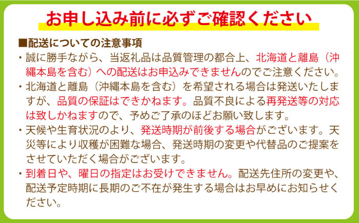 【2026年8月中旬～発送】【数量限定】シャインマスカット 2kg（3房～5房）/ マスカット ますかっと ぶどう 葡萄 ブドウ フルーツ 果物 / 南島原市 / 長崎県農産品流通合同会社 [SCB084]
