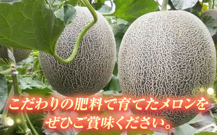 【2026年5月中旬～発送】肥後グリーンメロン 2玉（合計4kg以上））/ 果物 フルーツ / 南島原市 / 長崎県農産品流通合同会社 [SCB088]