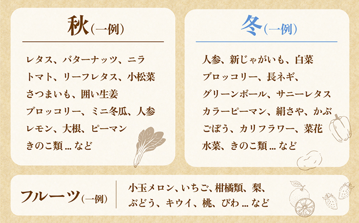 【6回定期便】毎月連続　「旬の野菜・フルーツ」 詰め合わせ セット（13品～15品）/ 野菜 定期便 やさい 定期便 野菜セット やさいセット 春野菜 夏野菜 秋野菜 冬野菜 旬新鮮 / 南島原市 /長崎県農産品流通合同会社 [SCB091]