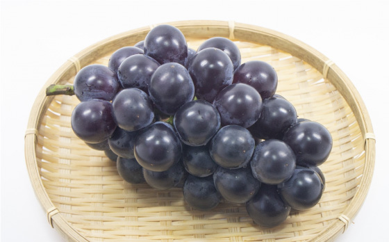 【2026年7月～発送】【採れたてをお届け！】旬のぶどう ＜ブラックビートor巨峰orピオーネ＞ 合計2kg / フルーツ ふるーつ 果物 /  南島原市 / ながいけ [SCH037]