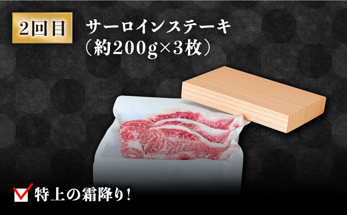 【豪華4回定期便】長崎和牛 食べ比べ / ヒレ サーロイン ロース シャトーブリアン / 南島原市 / ながいけ [SCH045]