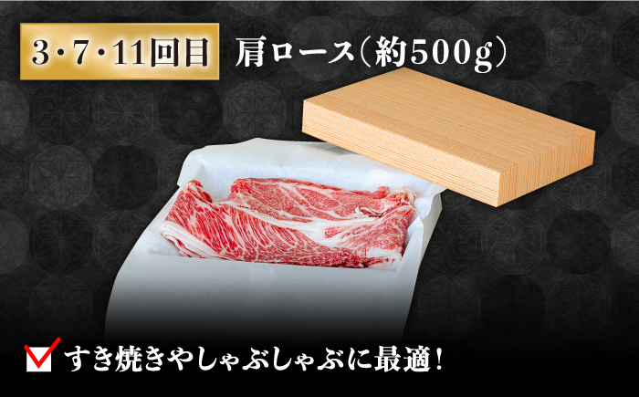 【豪華12回定期便】長崎 和牛 食べ比べ / ヒレ サーロイン ロース シャトーブリアン / 肉厚 牛肉 贅沢 ジューシー 牛 ステーキ肉 / 南島原市 / ながいけ [SCH055]
