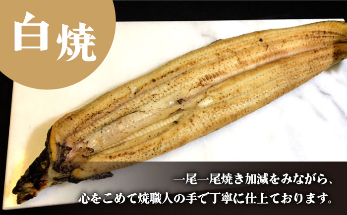 【須川屋台道場】うなぎ 蒲焼・白焼 2尾 セット  / うなぎ ウナギ 鰻 蒲焼 白焼 / 南島原市 / はなぶさ [SCN008]