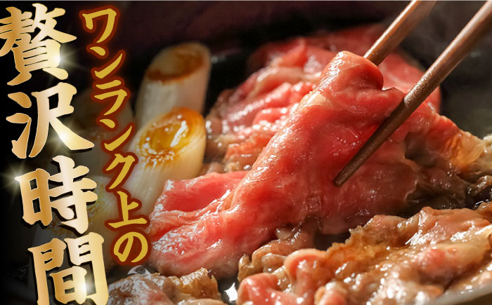 【内閣総理大臣賞受賞！】厳選良質 長崎和牛 もも肉スライス 200グラム×3パック 総計600g / 長崎和牛 牛肉 和牛 牛 モモ もも肉 スライス / 南島原市 / はなぶさ [SCN159]