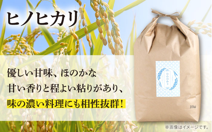 【2か月毎定期便】10kg×6回 定期便 / ひのひかり 米 お米 こめ コメ 精米 / 南島原市 / 林田米穀店 [SCO005]
