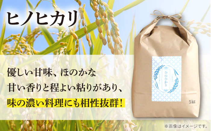 【南島原市産ヒノヒカリ】5kg / ひのひかり 米 お米 こめ コメ 精米 / 南島原市 / 林田米穀店 [SCO011]