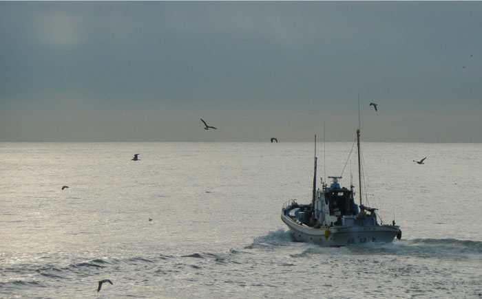 長崎 手延べ 年越そば 年明うどん あごだし付 / 南島原市 / 野村屋 [SCS003]