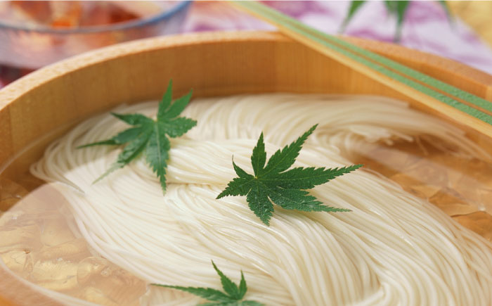 【380年以上の伝統製法】野村屋の島原手延素麺 絹の輝 15束（小袋入り）/ 南島原市 / 野村屋 [SCS010]