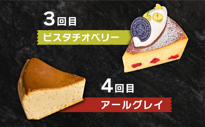 【6回定期便】 よしだのバスクチーズ 食べ比べ / ケーキ タルトケーキ スイーツ デザート 洋菓子 スペイン菓子職人が作る / 南島原市 / 吉田菓子店 [SCT035]