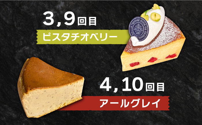 【12回定期便】 よしだのバスクチーズ 食べ比べ / ケーキ タルトケーキ スイーツ デザート 洋菓子 スペイン菓子職人が作る / 南島原市 / 吉田菓子店 [SCT036]