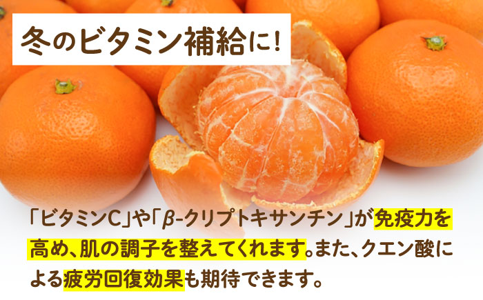 【2025年11月下旬～発送】【高糖度】温州みかん 約3kg / みかん ミカン 蜜柑 果物 フルーツ / 南島原市 / 南島原果物屋 [SCV021]