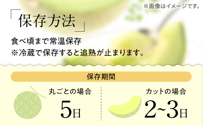 【2026年5月～発送】【さわやかな味!】訳あり タカミメロン 2箱セット（1箱 3～6玉）（傷もの）/ メロン めろん フルーツ 果物 / 南島原市 / 南島原果物屋 [SCV026]