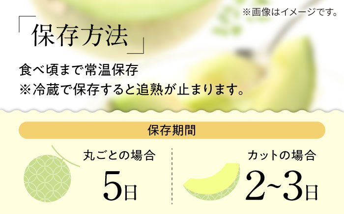 【2026年5月～発送】【さわやかな味!】訳あり タカミメロン 1玉 約1kg（傷もの）/ メロン めろん フルーツ 果物 / 南島原市 / 南島原果物屋 [SCV028]