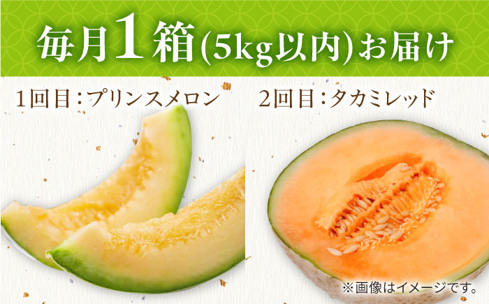 【2026年4月下旬～発送】【4回定期便】訳あり メロン 4種 食べ比べ / プリンスメロン イエローキング タカミレッド タカミメロン / メロン めろん フルーツ 果物 / 南島原市 / 南島原果物屋 [SCV046]