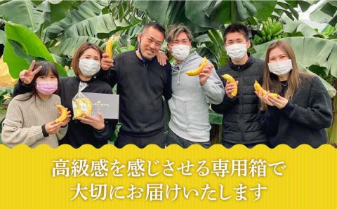 【2025年10月～発送】【皮ごと食べられる！】なかなかバナナ 5本 / フルーツ 果物 定期便 フルーツ定期便 / 南島原市 / ミナサポ [SCW036]