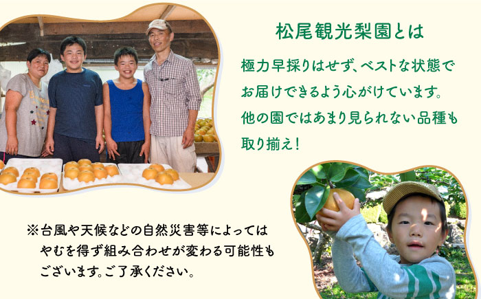 【2025年8月下旬～発送】梨 2種以上 食べ比べ セット 5kg / 豊水 秋麗 菊水 あきづき / フルーツ 果物  / 南島原市 / 松尾観光梨園 [SCX001]