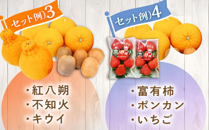 【12回定期便】＜2026年1月～初回発送＞フルーツ定期便 旬の果物をお任せで2～3品目お届け（2～3品目×12回）季節の果物 詰め合わせ 果物 セット / フルーツ 果物 春フルーツ 夏フルーツ 秋フルーツ 冬フルーツ /  南島原市 / 吉岡青果 [SCZ014]