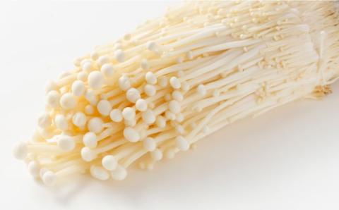 【12回定期便】きのこ定期便 厳選セット 4品目「12回（毎月）」お届け  特選 詰め合わせ / 南島原市 / 吉岡青果 [SCZ015]