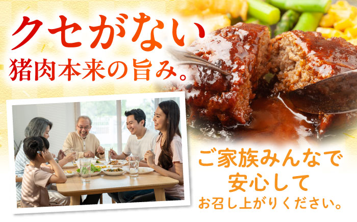 猪肉 ミンチ 3kg 雲仙いのしし / ひき肉 肉 イノシシ ジビエ いのしし ハンバーグ / 南島原市 / 株式会社高田牧場 [SDB014]