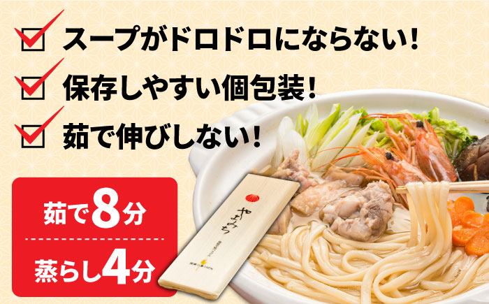 山道うどん 国産小麦100％ 160g×30袋 4.8kg / 乾麺 麺 / 南島原市/ そうめんの山道 [SDC011]