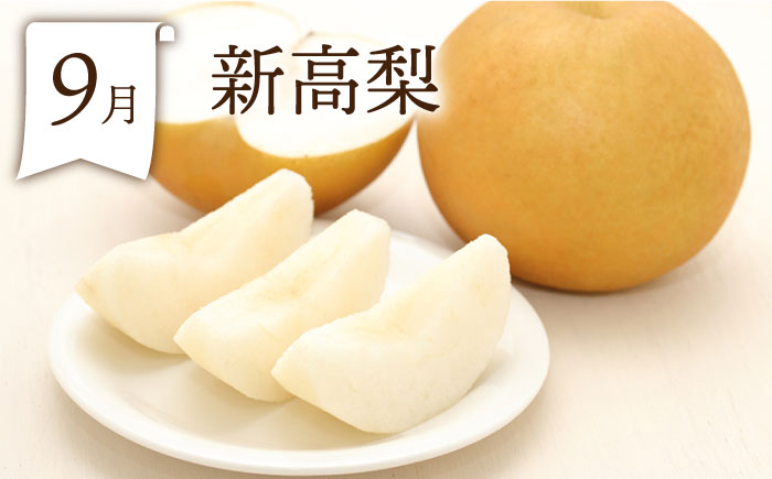 【6回定期便 奇数月コース】＜2026年1月～初回発送＞フルーツ定期便 旬のフルーツをセット/ いちご メロン ハウスみかん 梨 柿 など  / 定期便 旬 フルーツ 果物 春フルーツ 夏フルーツ 秋フルーツ 冬フルーツ / 南島原市 / 贅沢宝庫 [SDZ021]