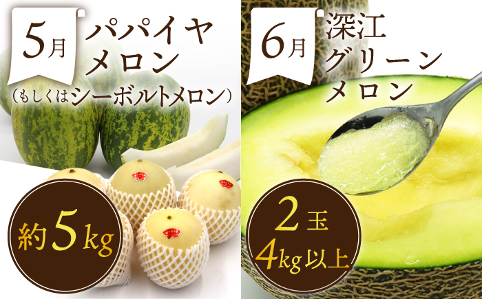 【12回定期便】＜2026年1月～初回発送＞フルーツ定期便 果物屋が選ぶ旬のフルーツ いちご メロン びわ みかん 梨 柿 ぶどう など / 果物定期便 フルーツ 定期便 果物 春フルーツ 夏フルーツ 秋フルーツ 冬フルーツ / 南島原市 / 贅沢宝庫 [SDZ023]