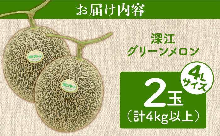 深江グリーンメロン2玉（4kg以上）  / フルーツ 果物 / 南島原市 / 贅沢宝庫 [SDZ037]