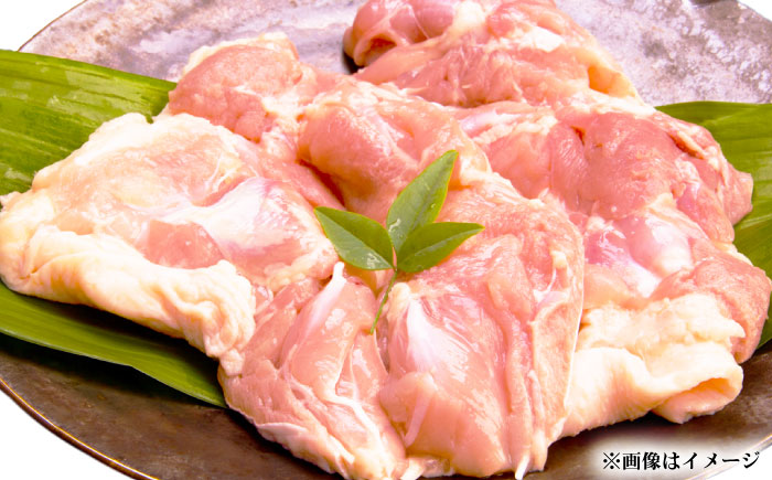 雲仙しまばら鶏 モモ肉 1kg / 肉 国産 鶏肉 とり肉 鶏もも肉 鳥もも肉 唐揚げ おかず 冷凍 / 南島原市 / OKファーム [SEK001]