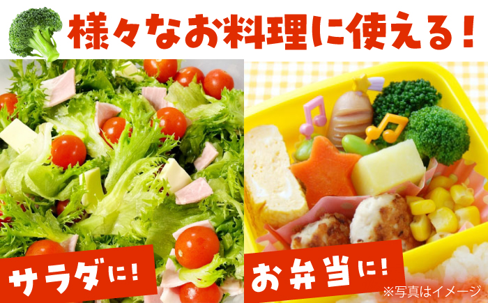 【2026年1月下旬～順次発送予定】たっぷり 冷凍 ブロッコリー 4kg（1kg × 4袋） / ブロッコリー ぶろっこりー 野菜 やさい 小分け 冷凍 / 南島原市 / 池田海陸物産 [SEW008]