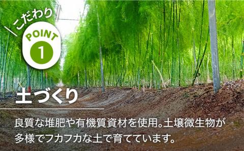 【2026年3月～発送】【星のアスパラ】特選 3L・2L・L 春 の グリーン アスパラガス 約1kg / アスパラ アスパラガス 野菜 / 南島原市 / ほしのYA [SEY005]