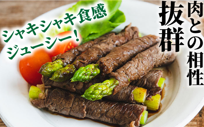 【5回定期便】【星のアスパラ】春＆夏 の グリーン アスパラガス 約1kg / アスパラ 春野菜 野菜 / 南島原市 / ほしのYA [SEY017]