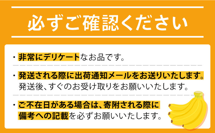 【ご入金から2～3か月程度で発送】【テレビで話題！】【希少な国産フルーツ】hotaru バナナ 2本 [SFA001]