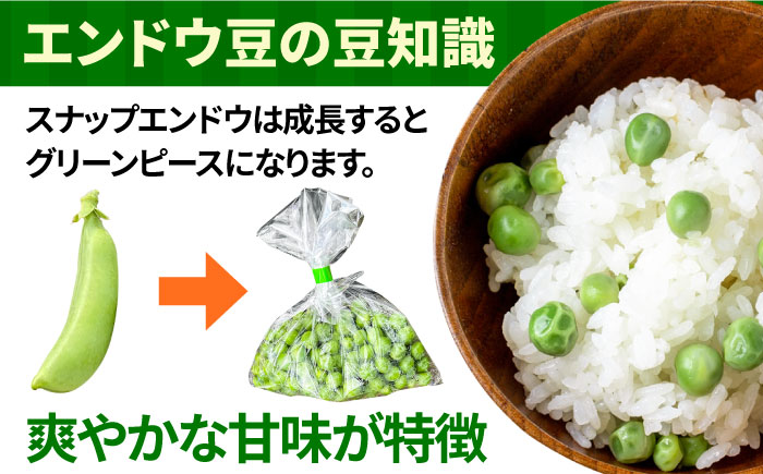 【2025年1月～発送】スナップエンドウ　サイズ違い　食べ比べセット　100g × 5袋 / 南島原市 [SFL001]
